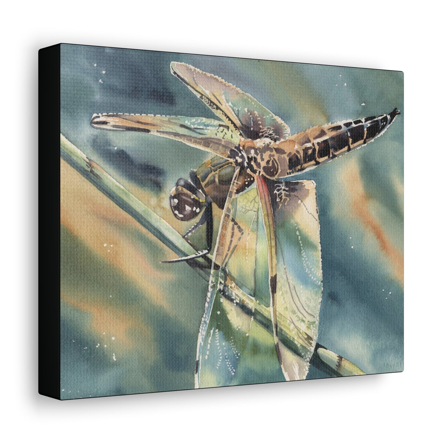 "Golden Hour Dragonfly" Canvas Gallery Wraps