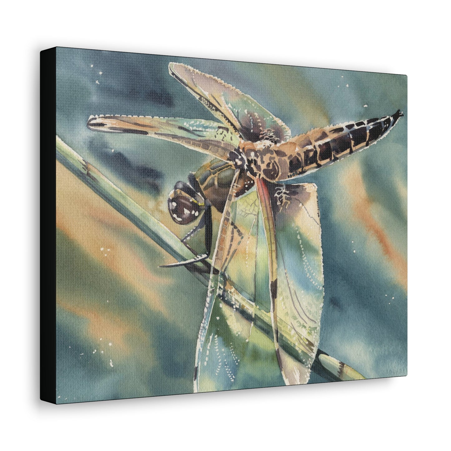 "Golden Hour Dragonfly" Canvas Gallery Wraps