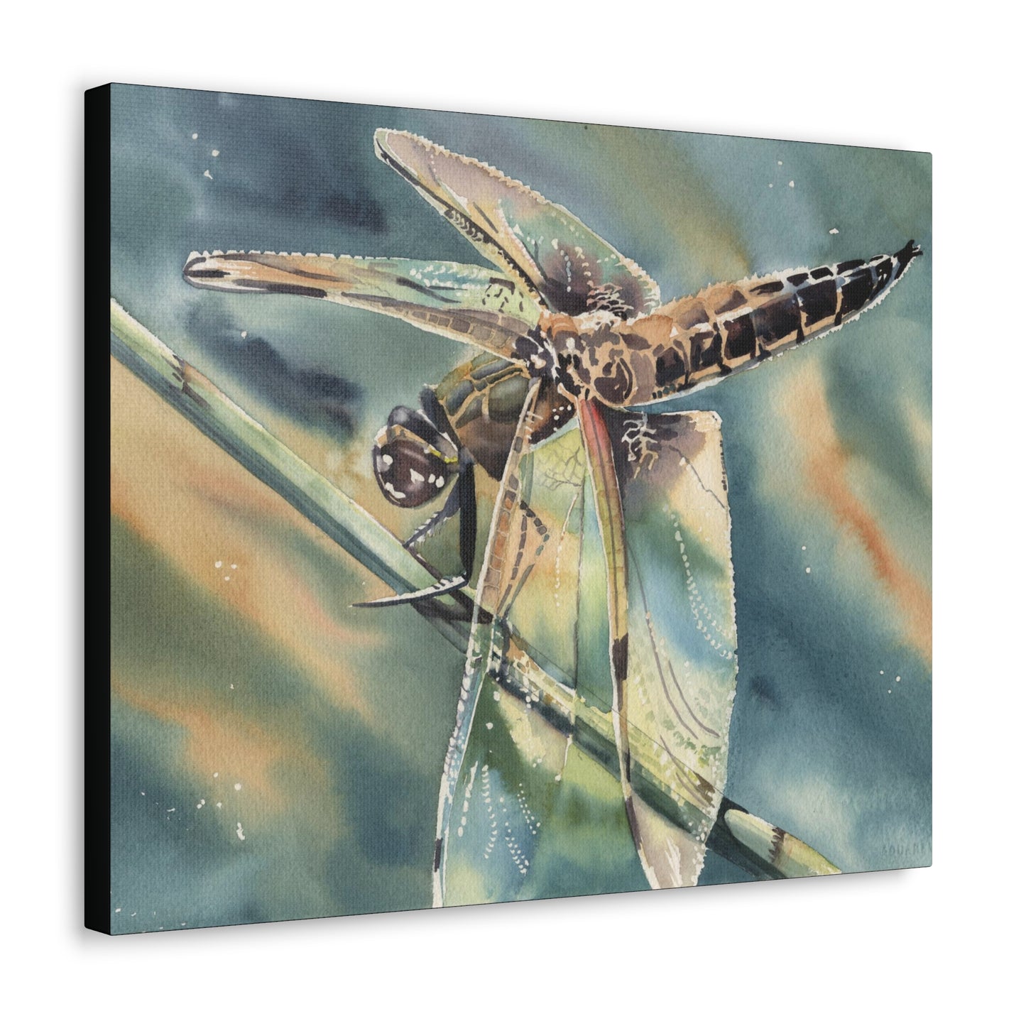 "Golden Hour Dragonfly" Canvas Gallery Wraps