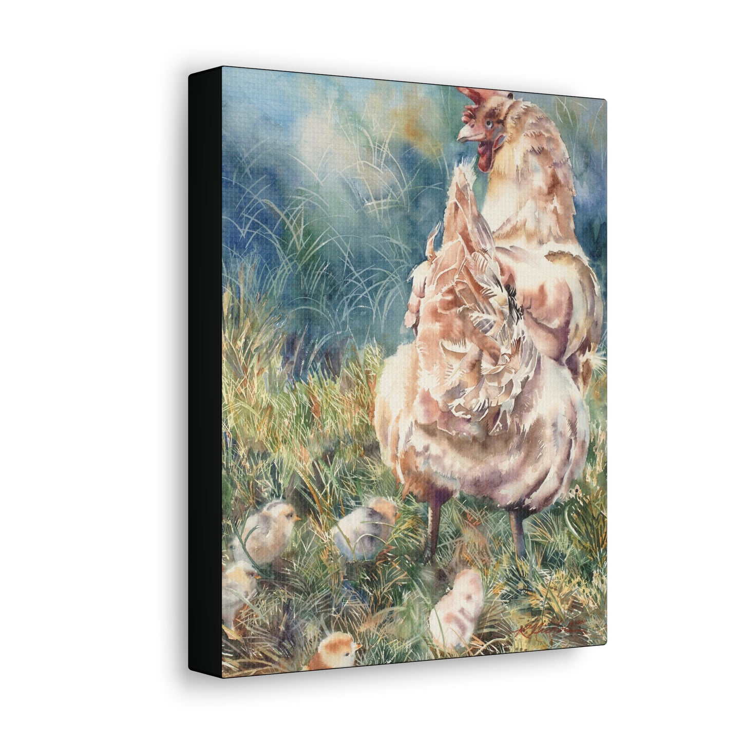 "Gathering her chicks" Canvas Gallery Wraps