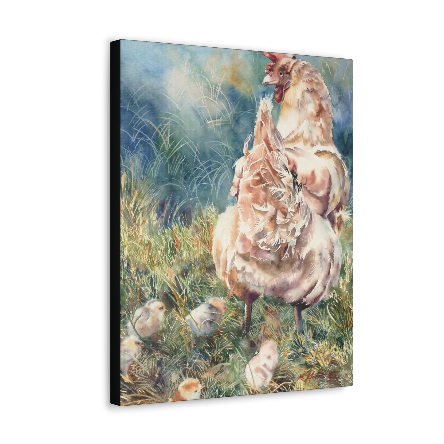 "Gathering her chicks" Canvas Gallery Wraps