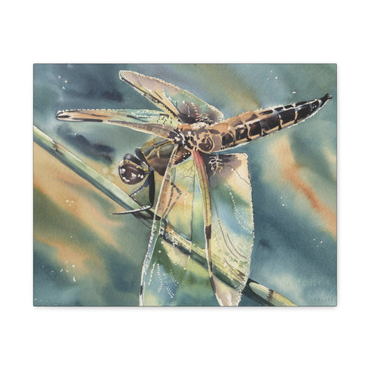"Golden Hour Dragonfly" Canvas Gallery Wraps
