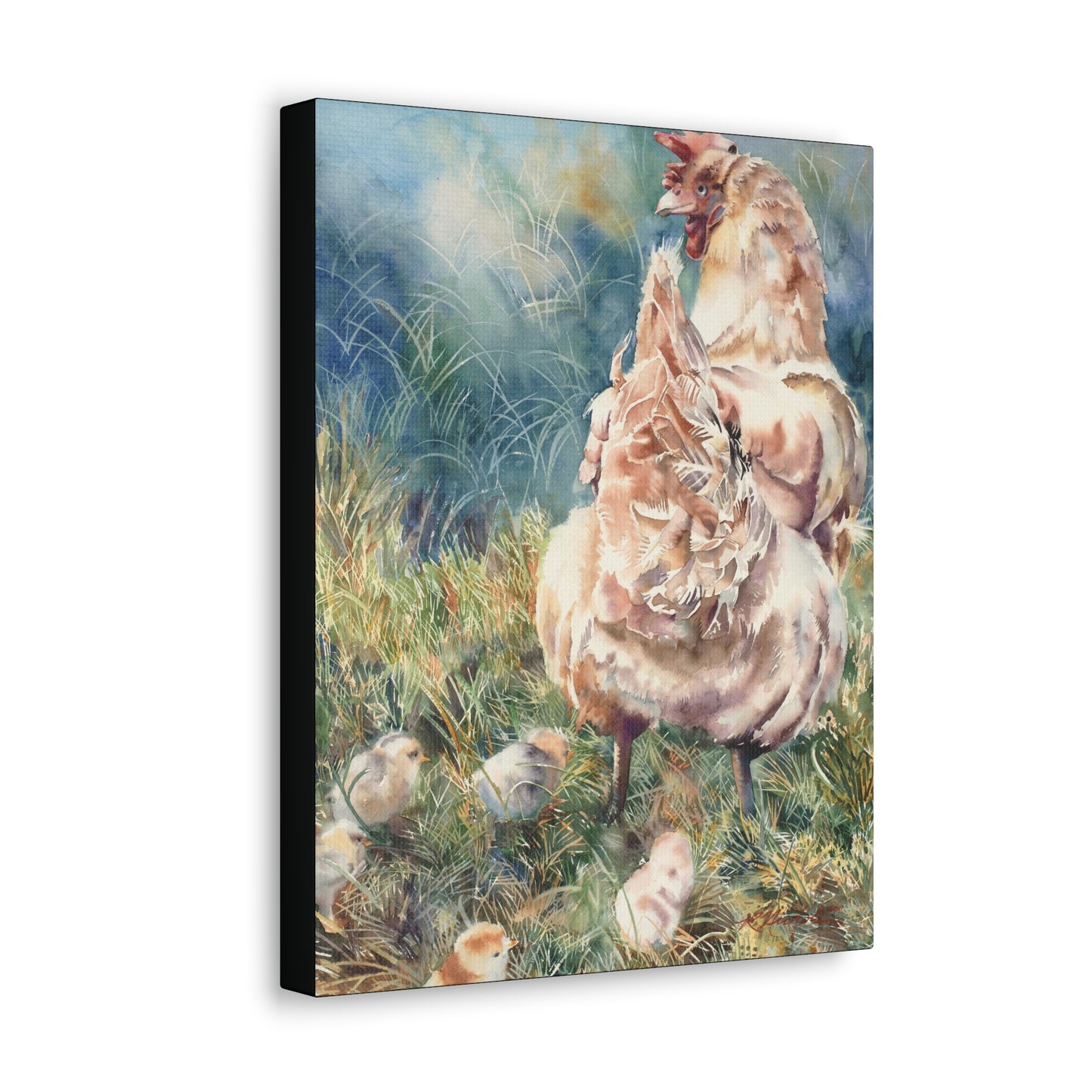"Gathering her chicks" Canvas Gallery Wraps