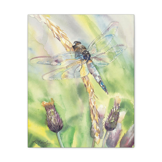 "Morning Dragonfly" Canvas Gallery Wraps