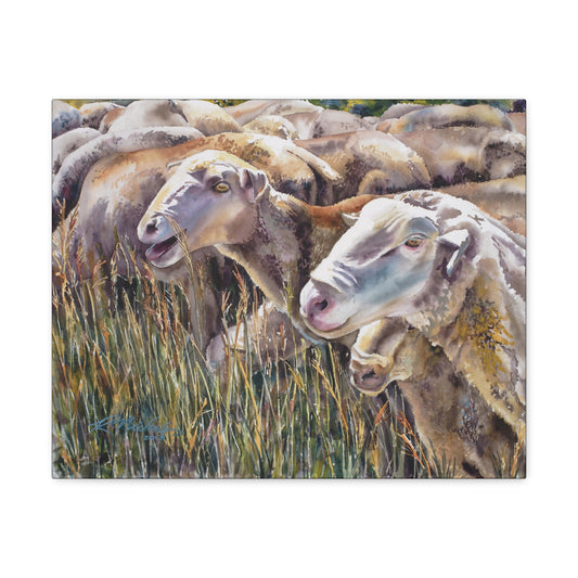 "Summer Pasture" Canvas Gallery Wraps